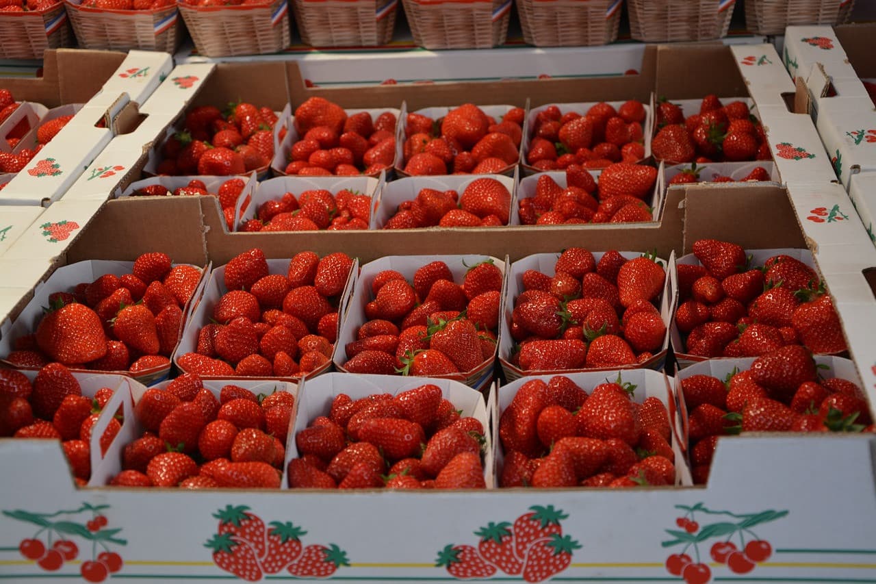 Fraises